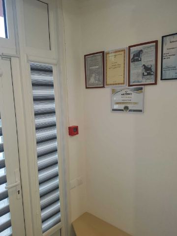 GroomBoom studio in Liepāja