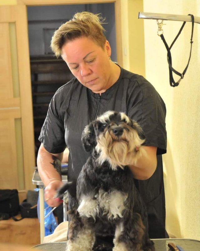 Tatjana Nani, owner and groomer at GroomBoom
